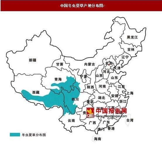冬虫夏草的核心分布区包括:那曲地区的那曲县,比如县,索县