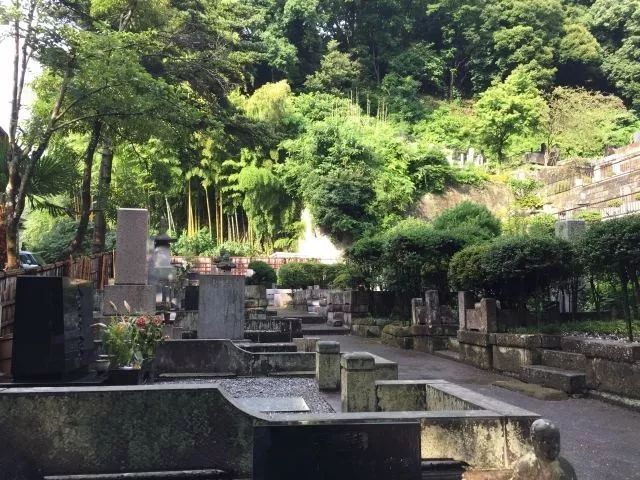 洁尘 雨中赶往圆觉寺