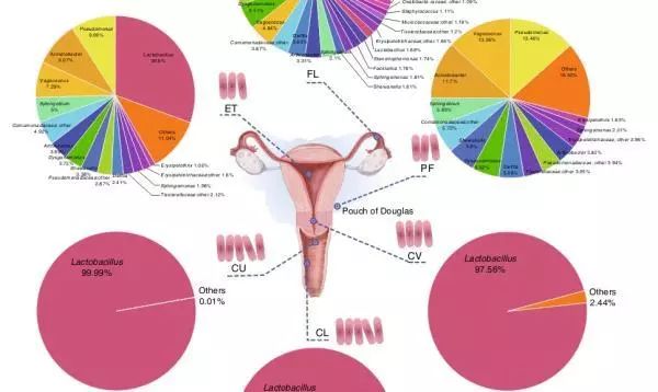 其结果有力地证实了女性上生殖道微生物的真实存在,打破了"胎儿出生之