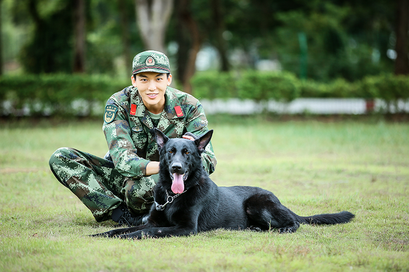 《奇兵神犬》训练再升级 张馨予训犬受挫遇瓶颈