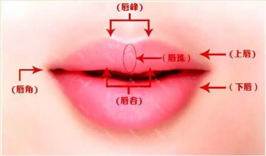 下面就让我们来分别看看,各个唇形的具体特征和画唇方法~ 标准唇