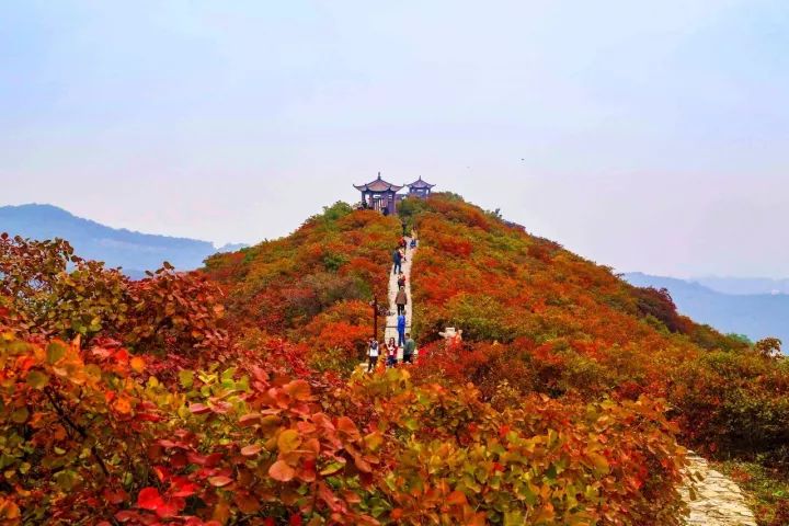 地址:巩义市竹林镇长寿山风景区