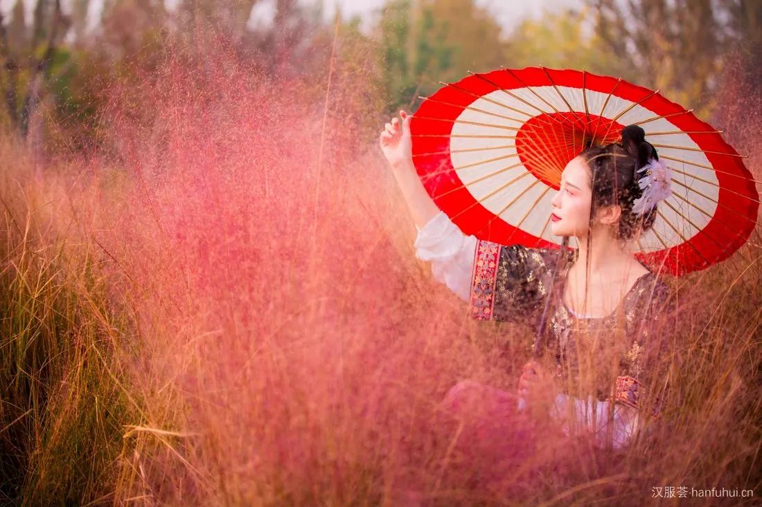 粉黛乱子草(或毛芒乱子草)拉丁名:muhlenbergia capillaris 粉黛乱子