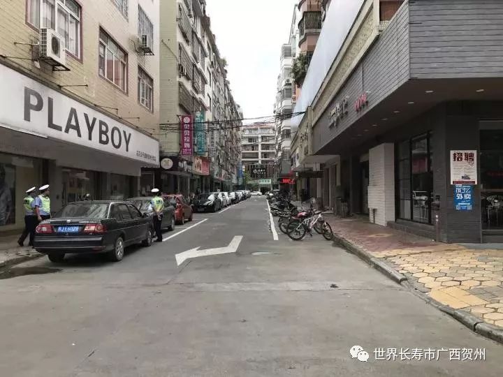 贺州市贺街有多少人口_人口普查