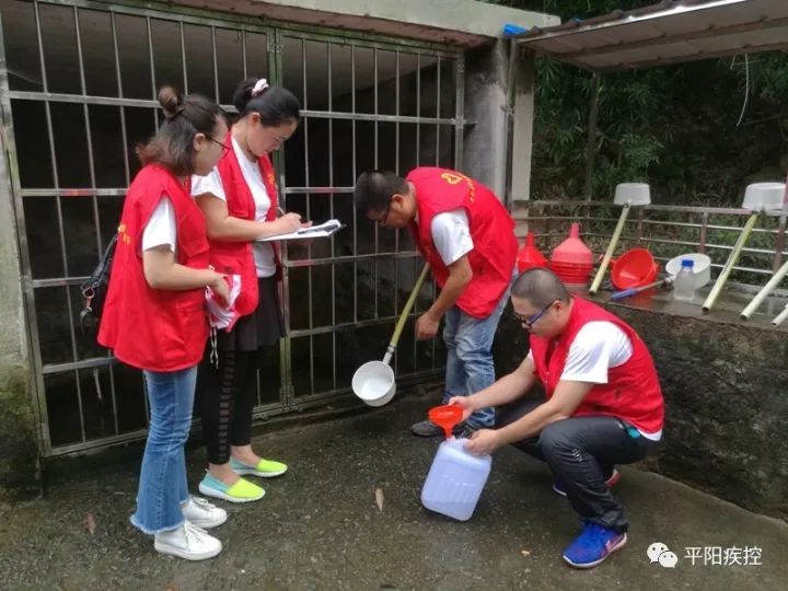 平阳水头有多少人口_最新 浙江多地受灾严重 车辆被埋(2)