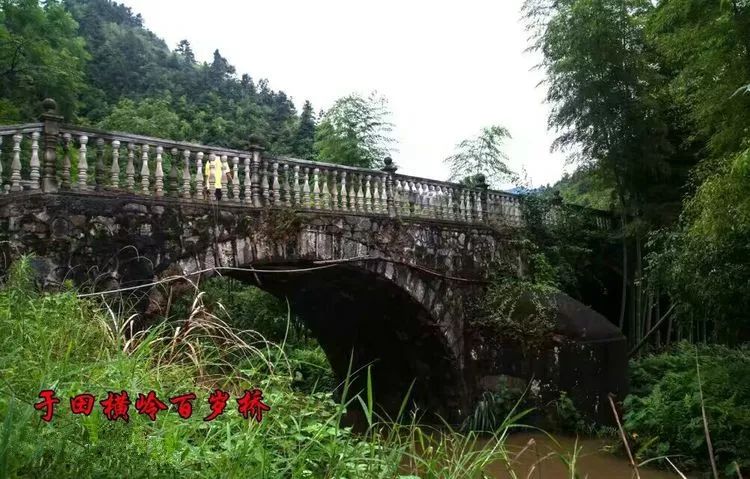 遂川乡镇人口_遂川板鸭