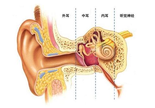 为什么有的人说话不清楚