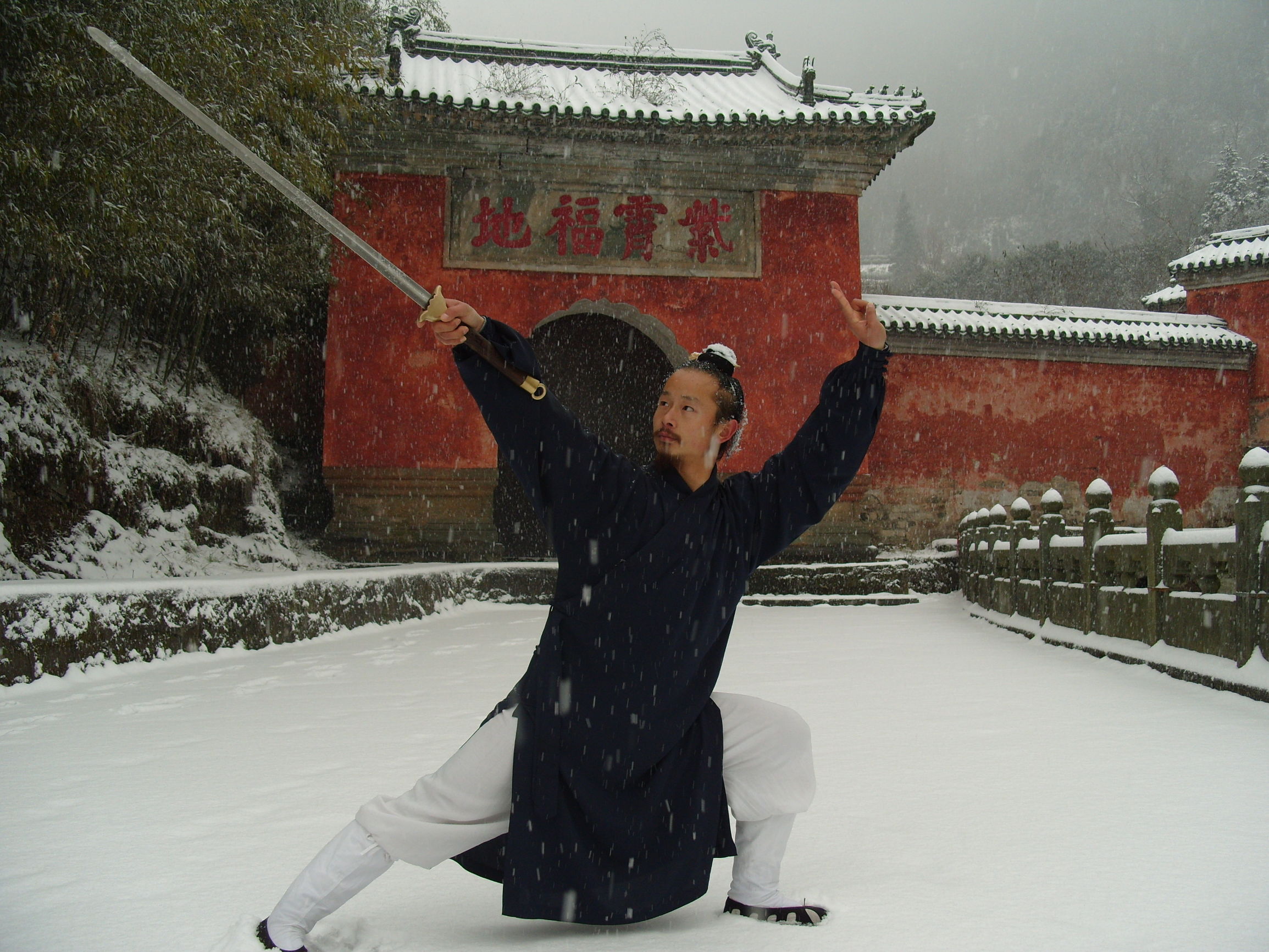 一抬头一朵雪花影子一样飘过多美武当轻功第一人陈师行