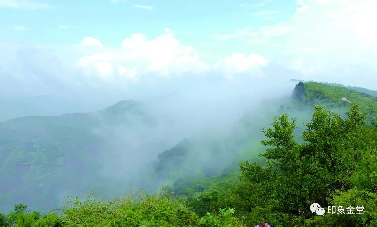 (云雾龚家山 蒋永平摄)