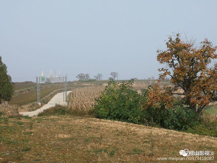 柿子熟了萱柿饼做柿酒家乡一道风景线稷山太阳乡三坡村见闻