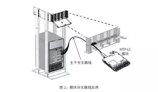 交换机如何选择正确地分支跳线