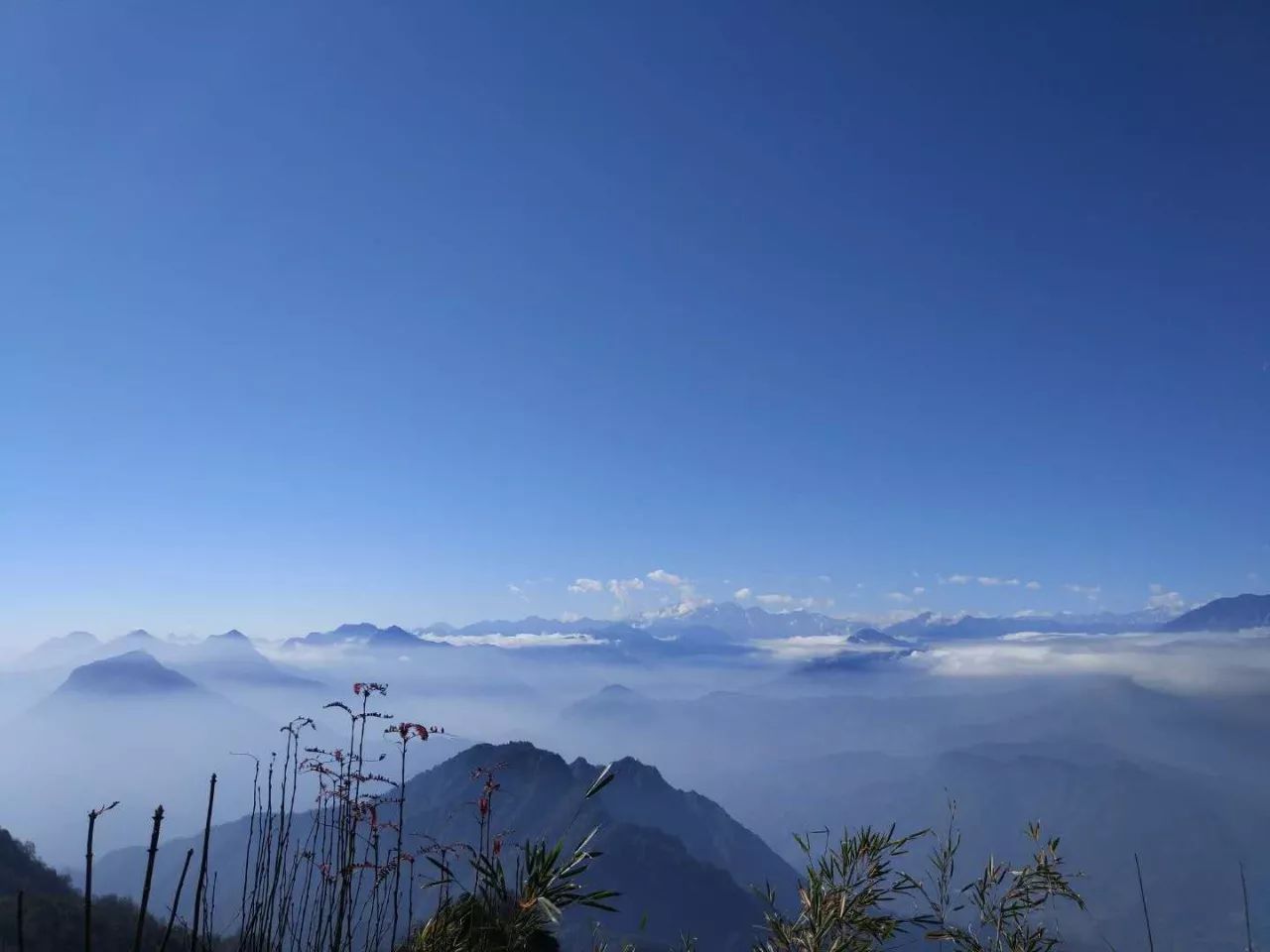 旅游 正文 本期主题:赵公山的山顶不再是白茫茫的一片了,终于看见了