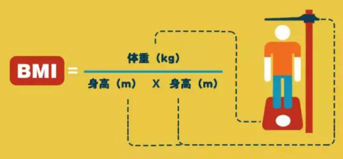 中国体脂人口_体脂率(3)