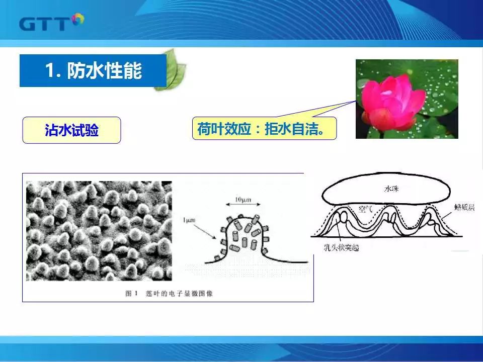 防小人口功_人口普查图片