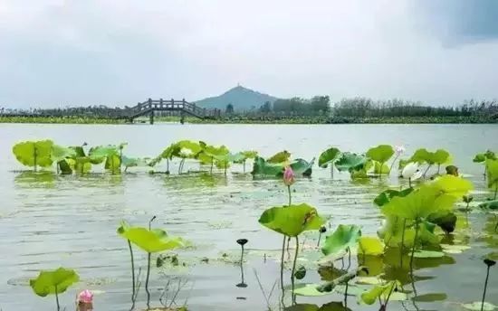 太湖旅游度假区长田漾湿地公园 来湖州穿越时光 ▲陈英士故居