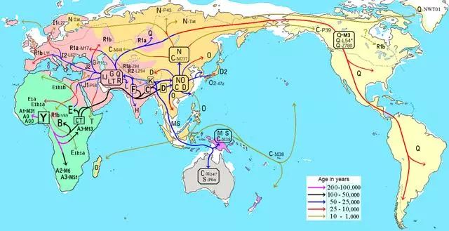 海南岛外来人口分布_薛之谦天外来物图片(2)