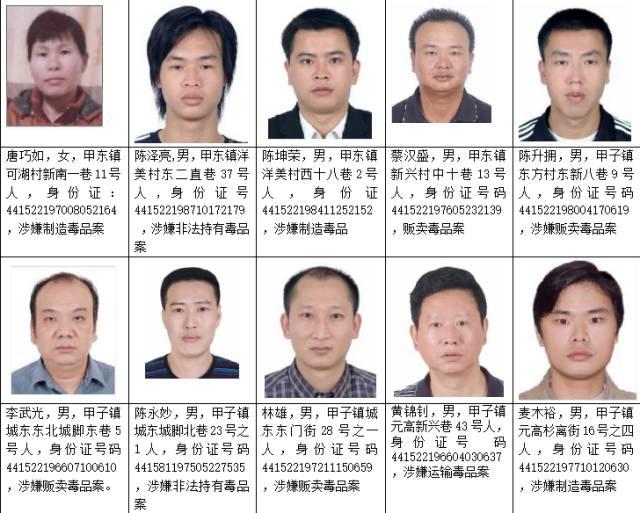 广东省陆丰最新涉毒逃犯名单,181人被通缉,举报奖励每人10万!