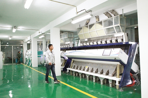 公司现代化的生产线每天可加工150吨大米