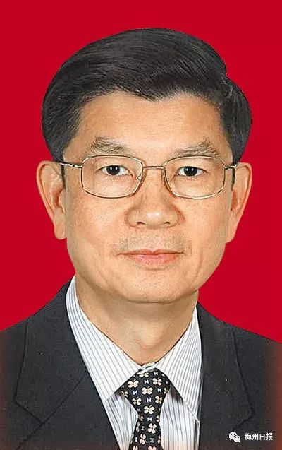 丝宝集团董事长