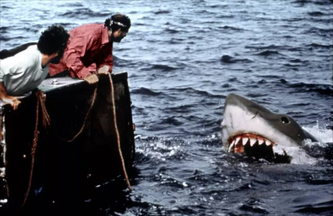 大白鲨 jaws (1975)