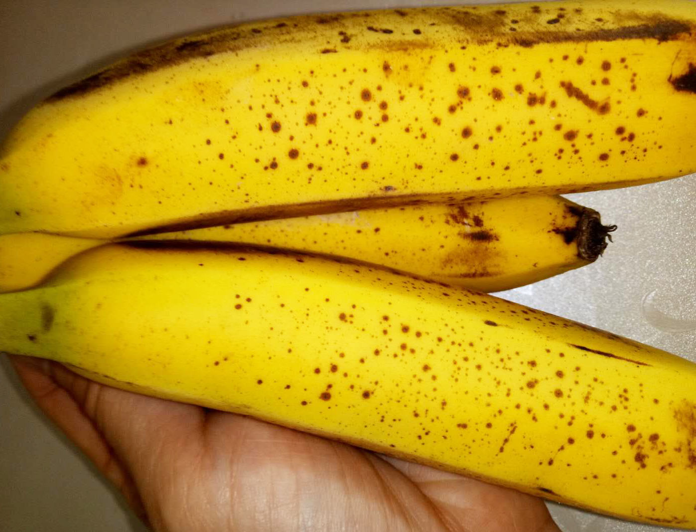 买香蕉,很多人嫌弃果皮有这种"黑斑",却不知道吃的是催熟香蕉!
