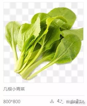 南方人口中的青菜是啥_南方青菜指的是什么菜(2)