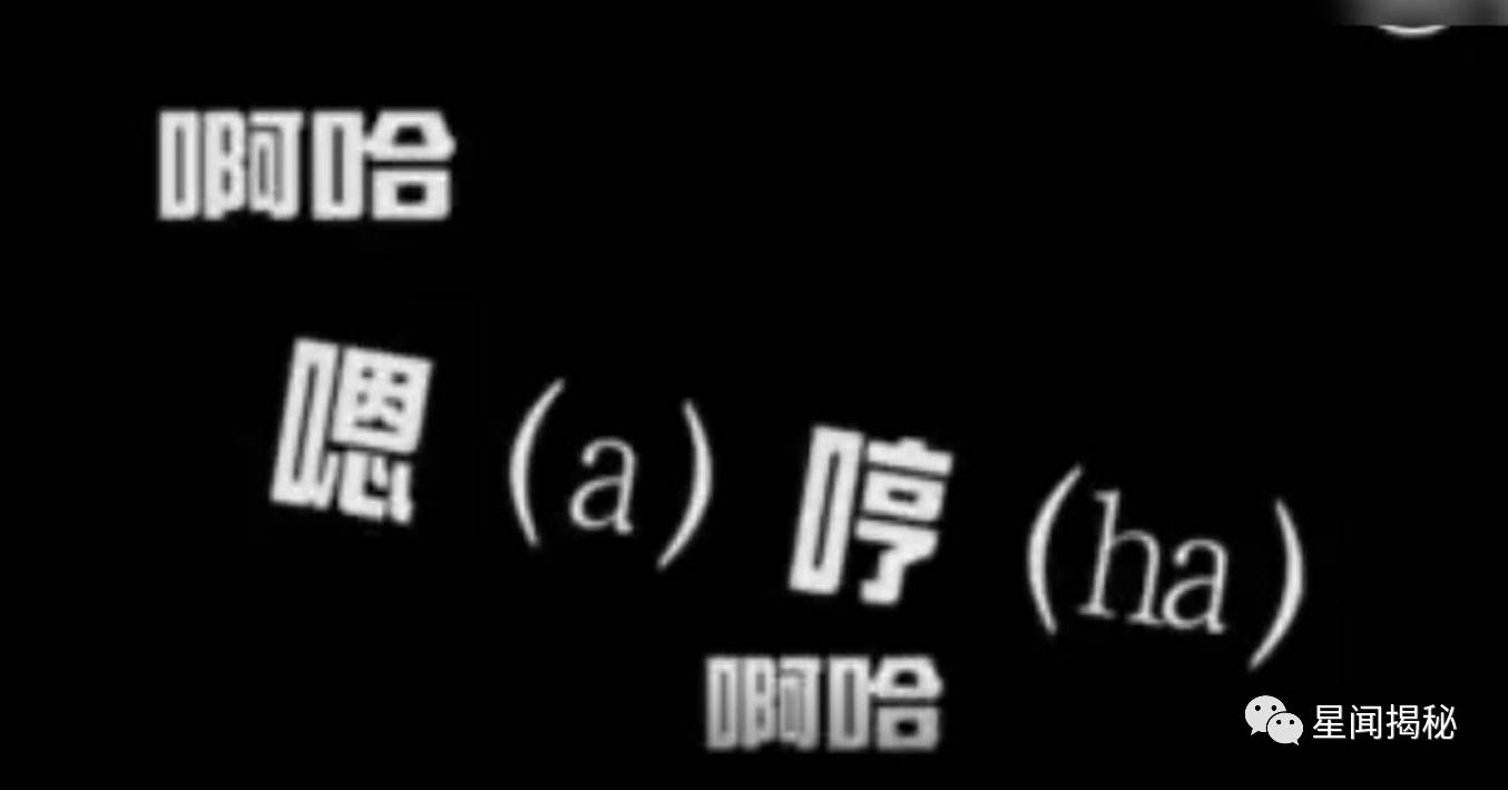 jasper啊哈叫不停爸爸去哪儿第五季被这对四岁同龄海尔兄弟疯狂圈粉