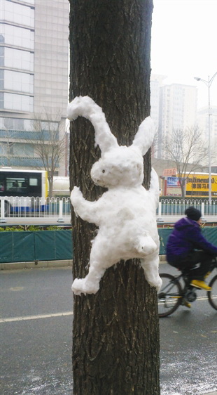 下雪了!朋友圈都被雪人刷屏了!