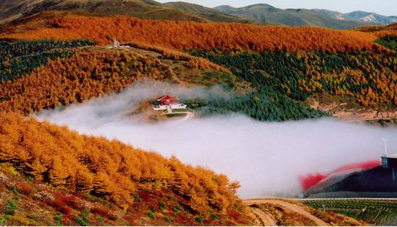 六盘山风景区