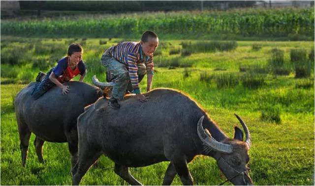 合浦农村旧时的生活,你经历过吗?