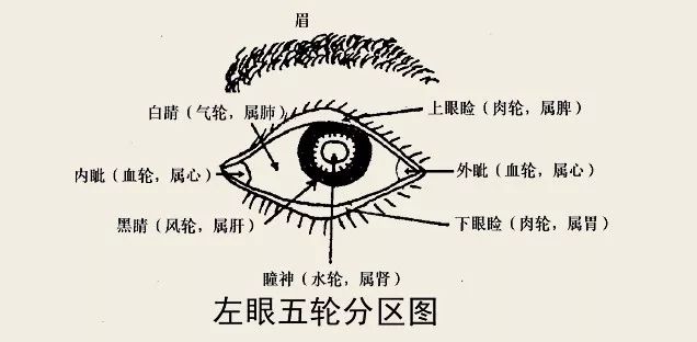 虚心原创丨马云功守道好看古中医居然能通过眼诊看出马星人有什么疾病