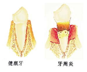 眼睛瘙痒与疼痛：常见原因及应对措施