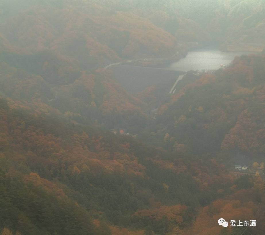 再出发 11月19日最美升仙峡红叶 天上山缆车 相模湖led灯展活动