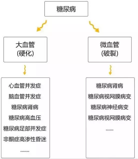 世界糖尿病日图解糖尿病形成过程