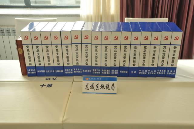 朝阳地税基层党建档案管理力求内容全面注重形式规范