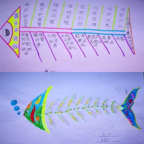 在学校利用语文课文(也可以在微信上)教学生画简单的鱼骨图,思维导图