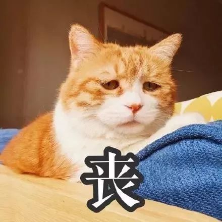 男子一觉醒来脸肿成"猪头",还差点丢了命!罪魁祸首竟是它.