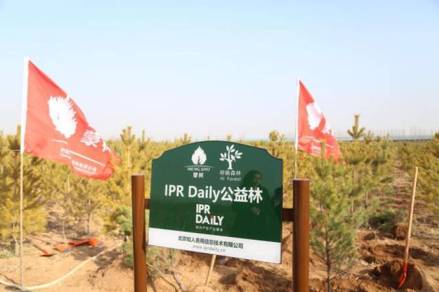 iprdaily携手"呼唤森林"共建公益林,为国家底色填一抹新绿