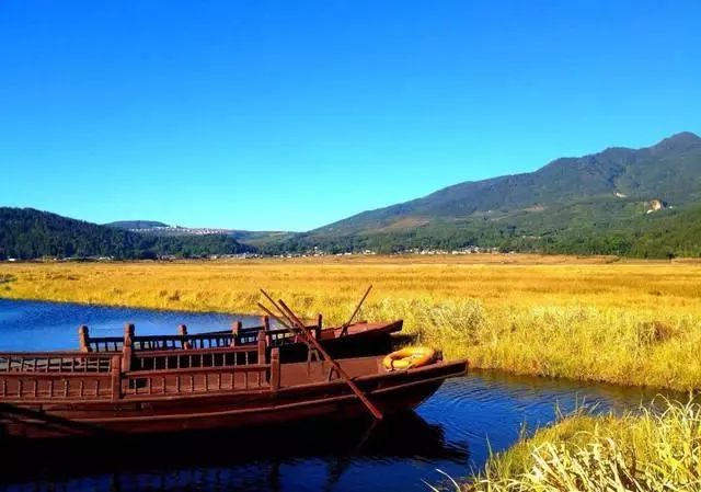 的地区是云南八大名花的故乡高黎贡山国家自然保护区在腾冲有全国著名