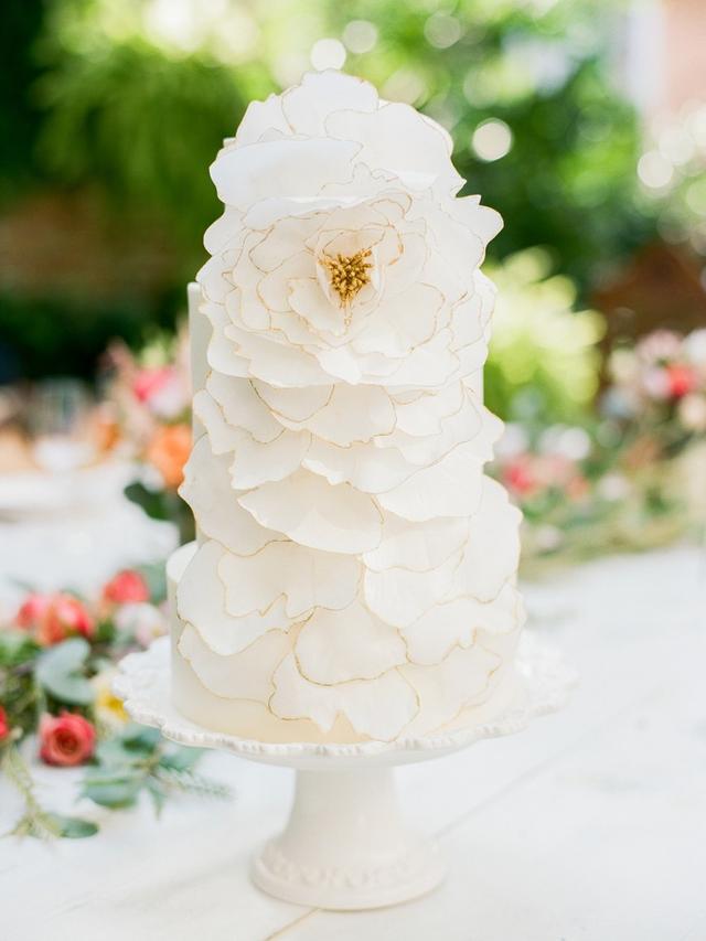 多肉植物装饰着这个传统的白色蛋糕,增添了流行的色彩.