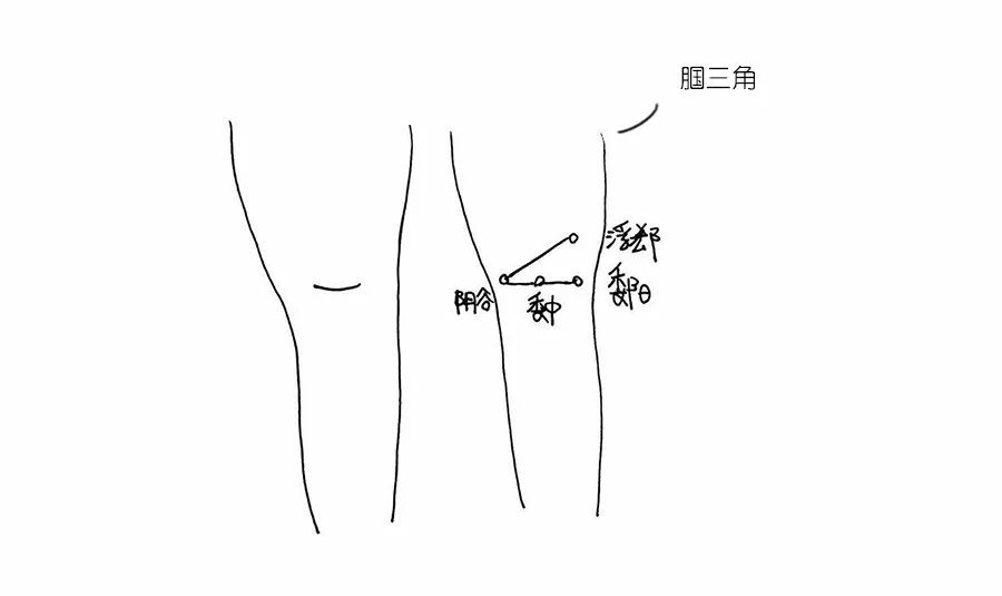 人体10个黄金三角区,养好了,从头到脚都健康!