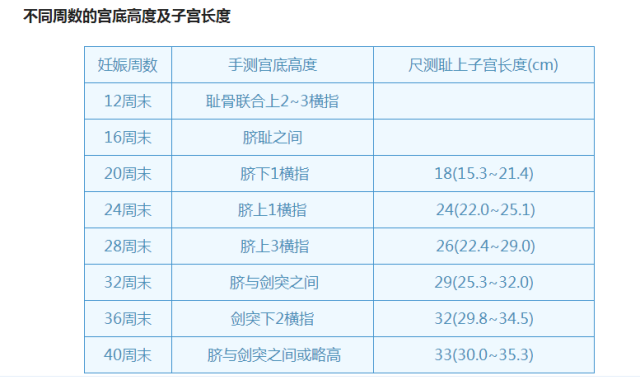 因此,通过手测宫底高度及尺测耻上子宫长度,可以判断妊娠周数.