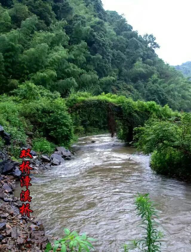 遂川有多少人口_遂川那些嫁到外地的姑娘,你后悔了吗(2)