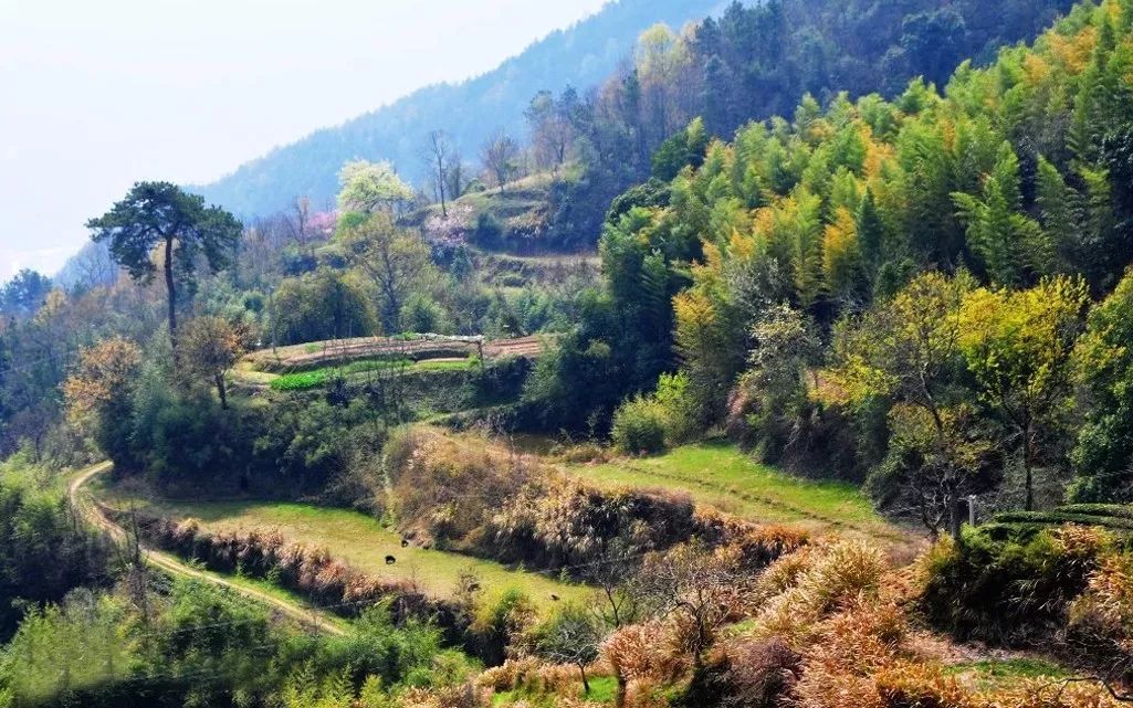 美丽英山,时事新闻,环保旅游,他乡见闻,英山本地故事,英山美丽山水等