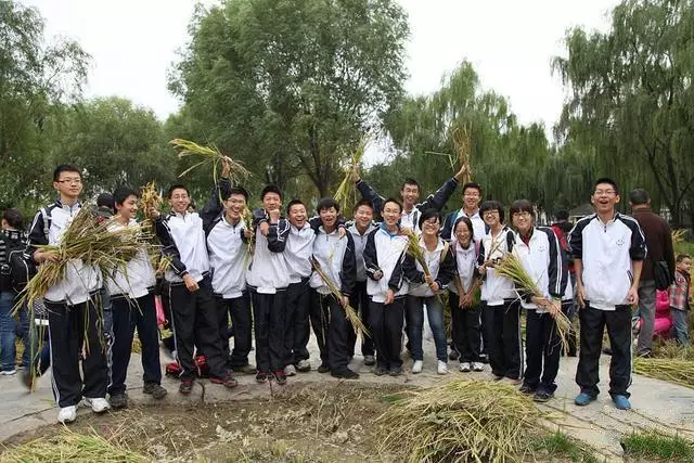 石家庄二中三,华北地区甘肃 酒钢三中青海 青海师范大学附属中学新疆