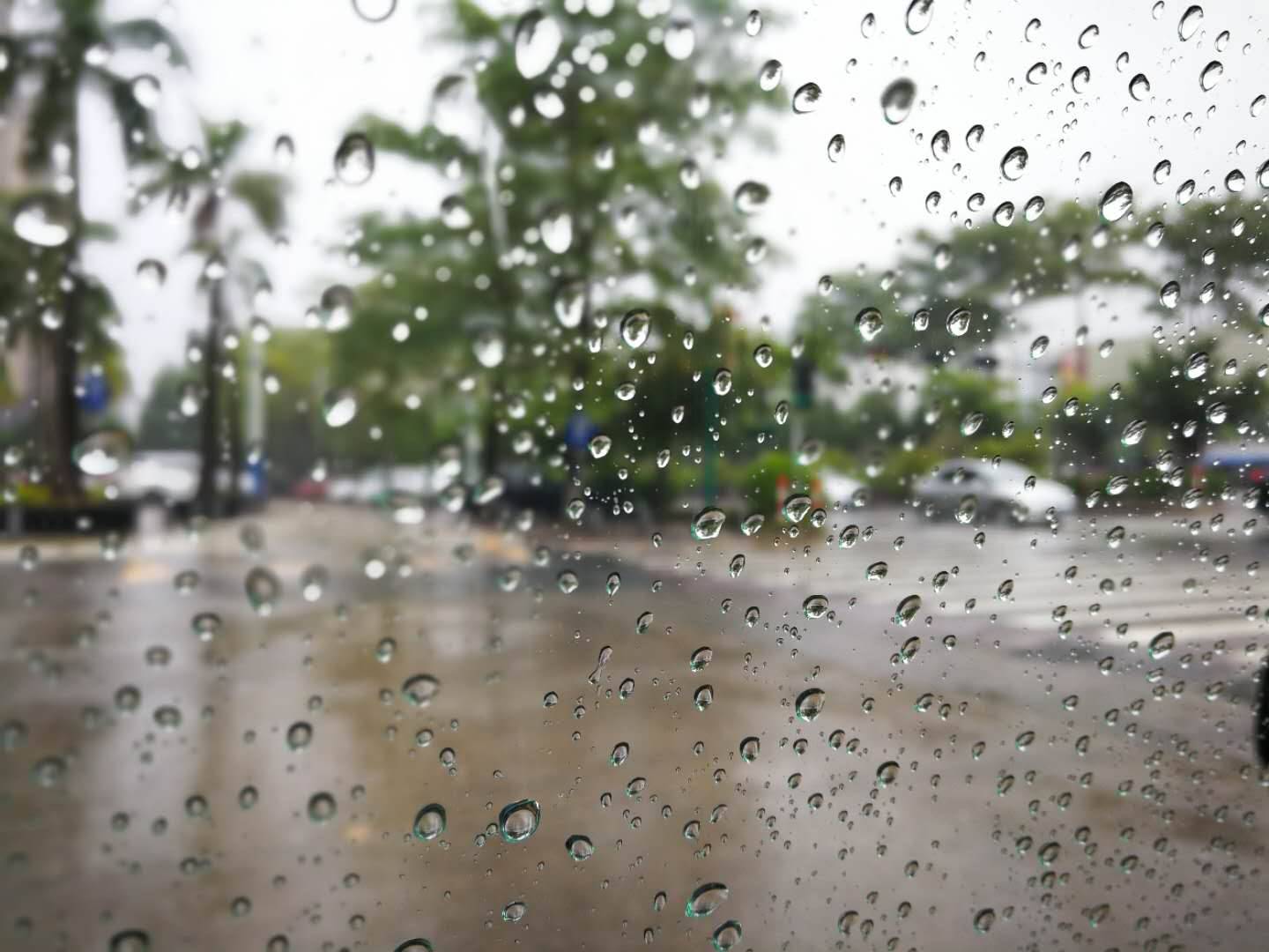 这几天,云浮突然变冷了 而且一直在下雨 走在路上一不小心 衣服就会被