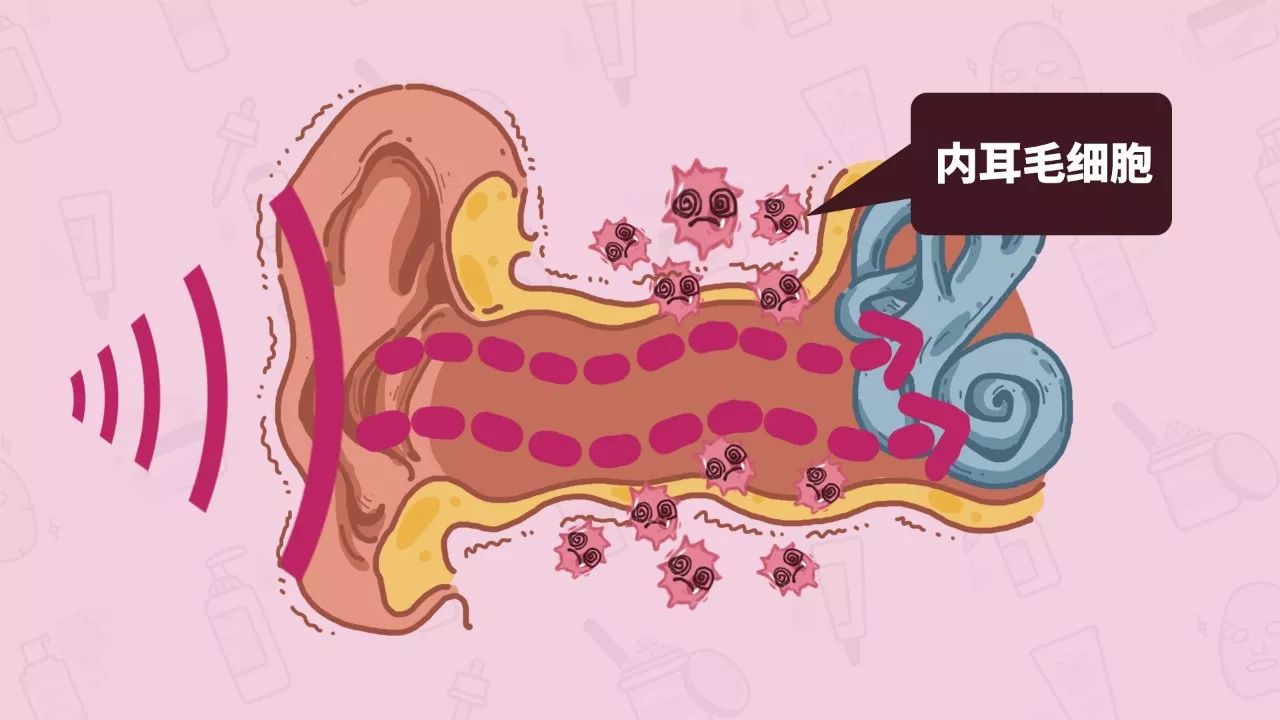 耳机音量超过一半,你的听觉细胞就在不断死亡丨女子力科学社