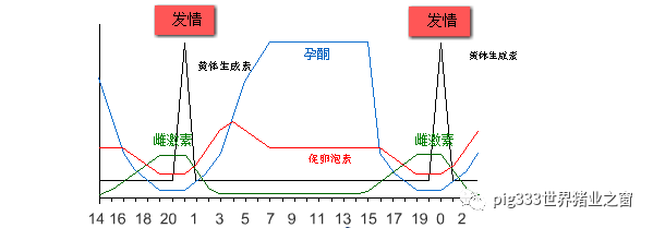 批次生产激素在猪场管理中的正确运用相当全面