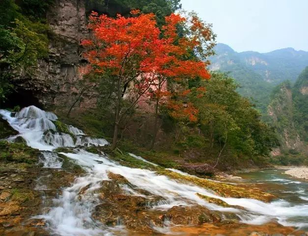 蟒河旅游风景区