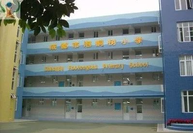 江湖评价:摇号神器 成都市泡桐树小学创建于1961年